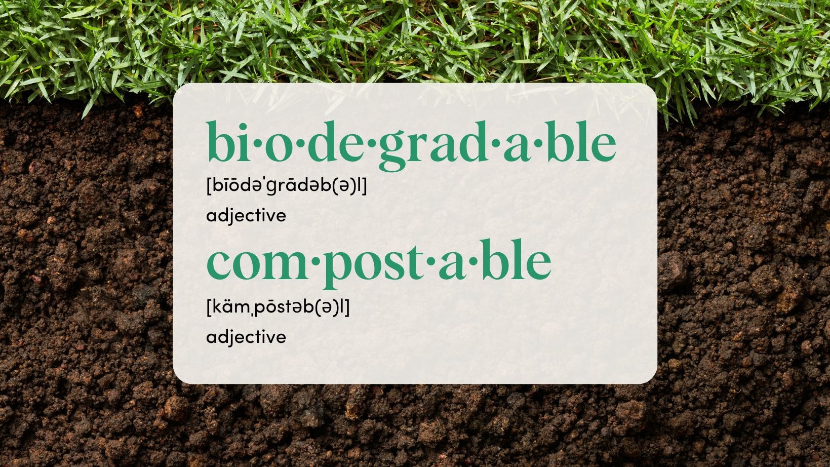 Biodegradable versus Compostable Glossary