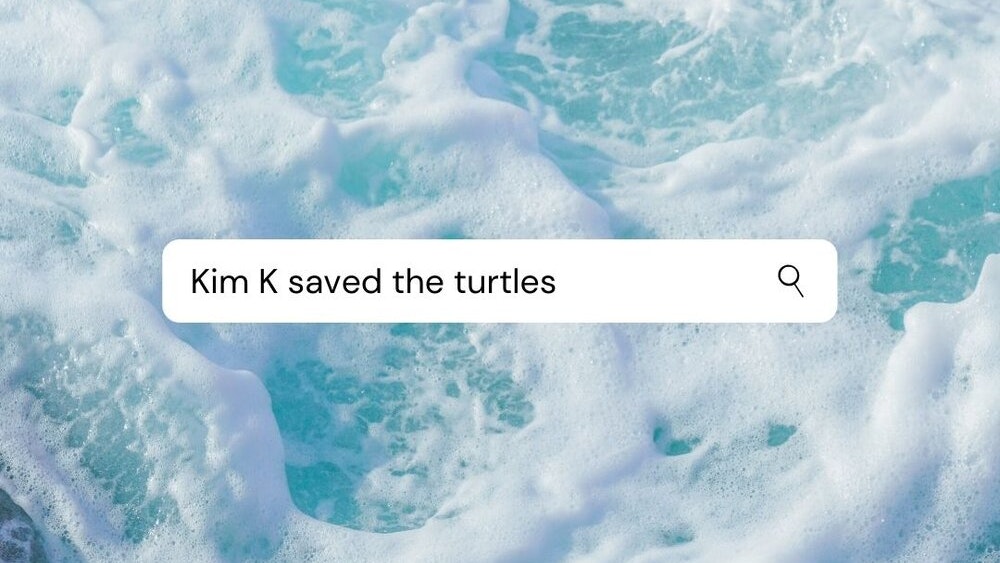 How Kim Kardashian Saved Turtles