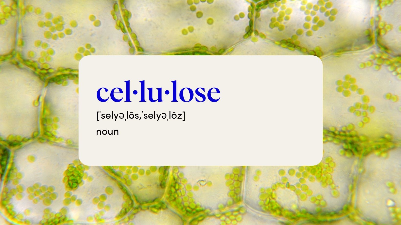What is Cellulose?