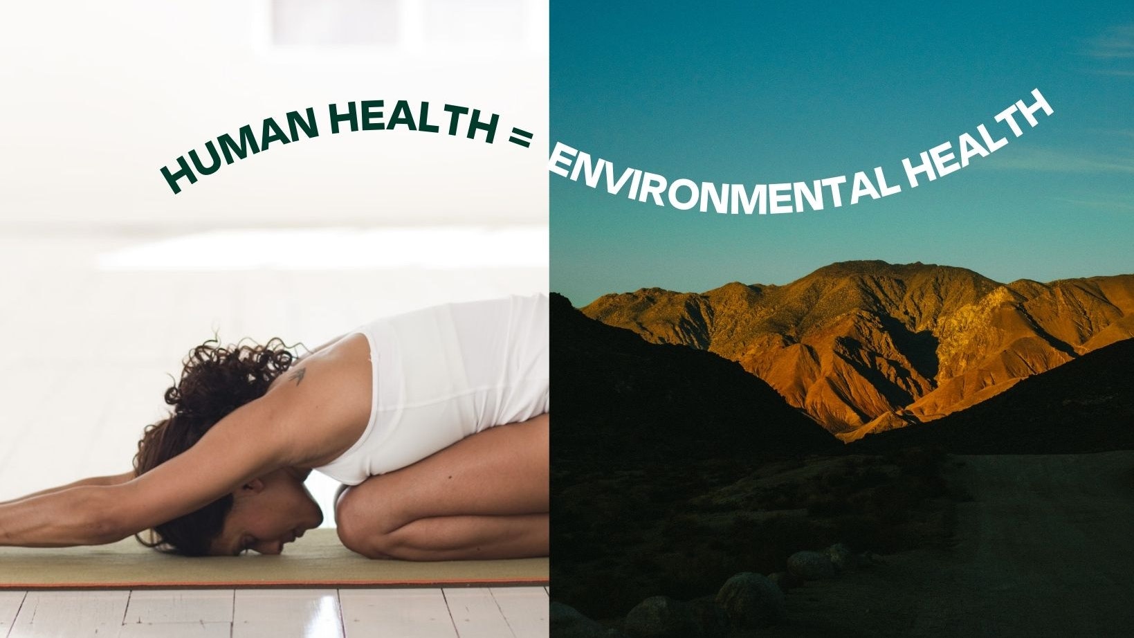 Human Health & Environmental Health