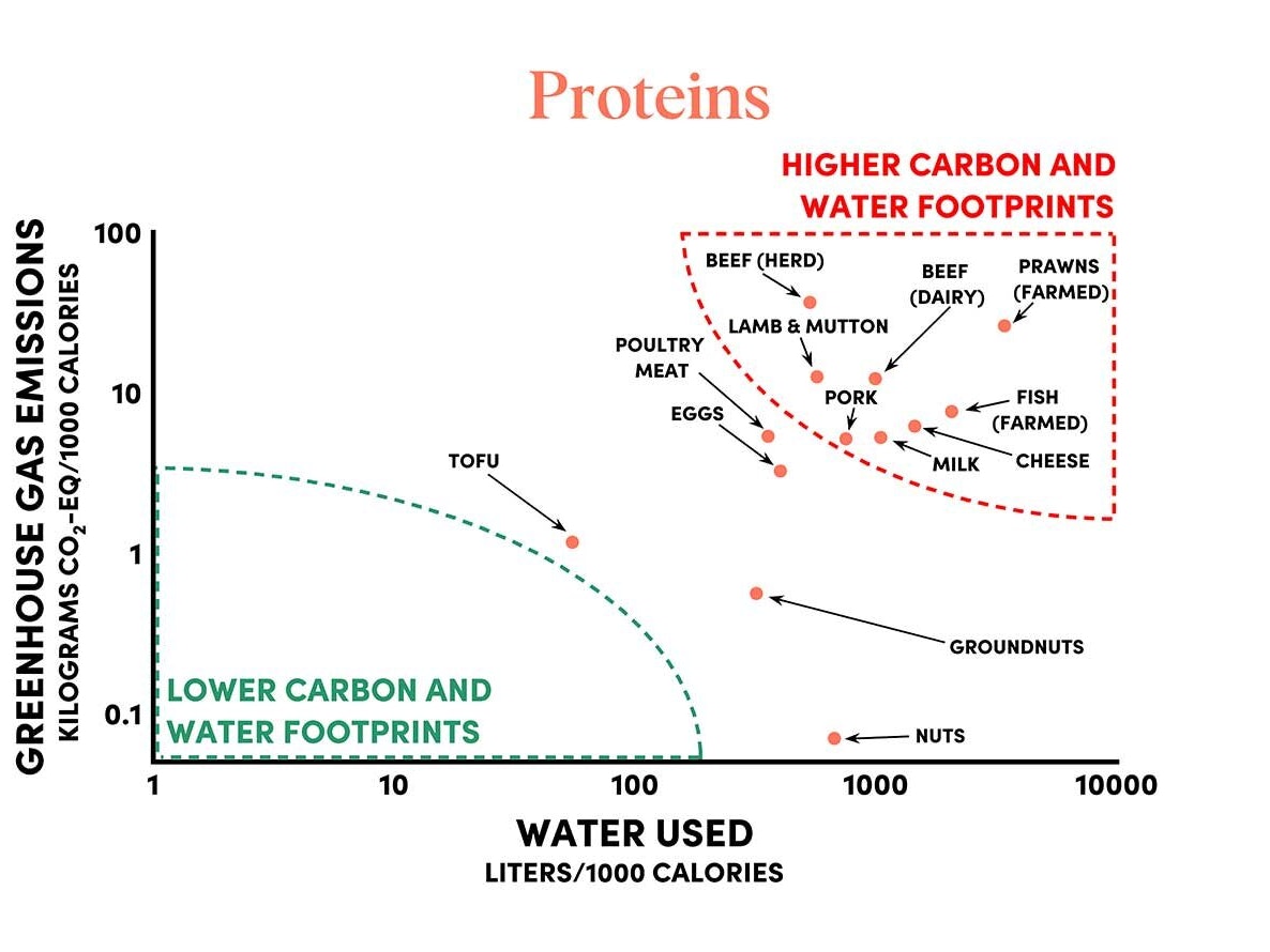 Carbon Emissions Water Usage In Protein Production