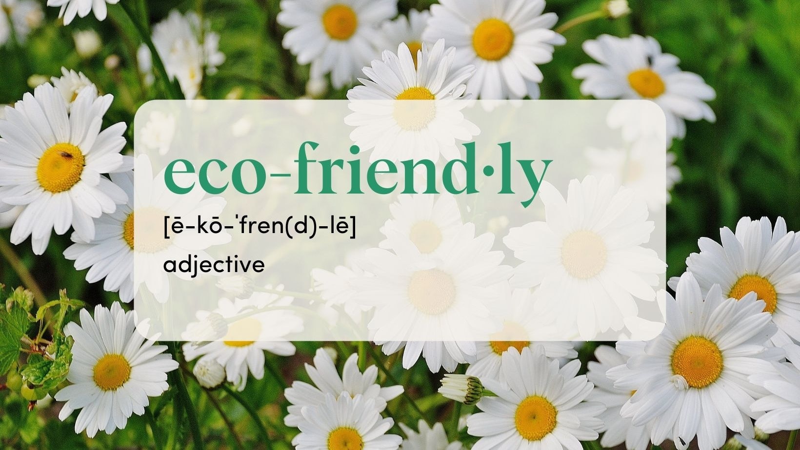 Eco Friendly Definition
