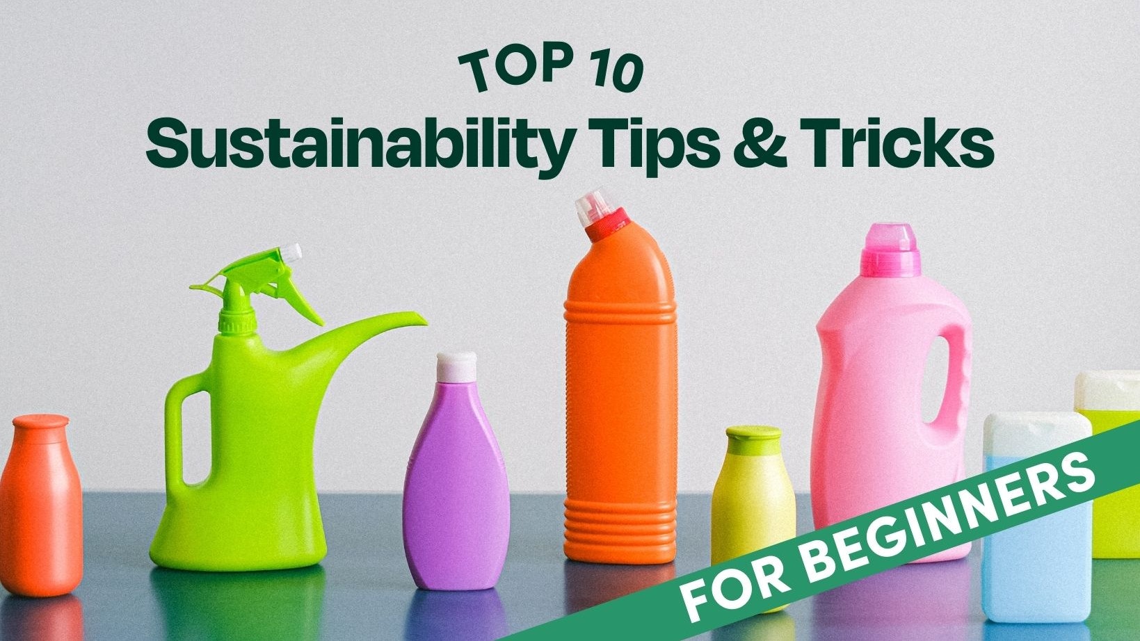 Sustainability Tips Tricks For Beginners 1