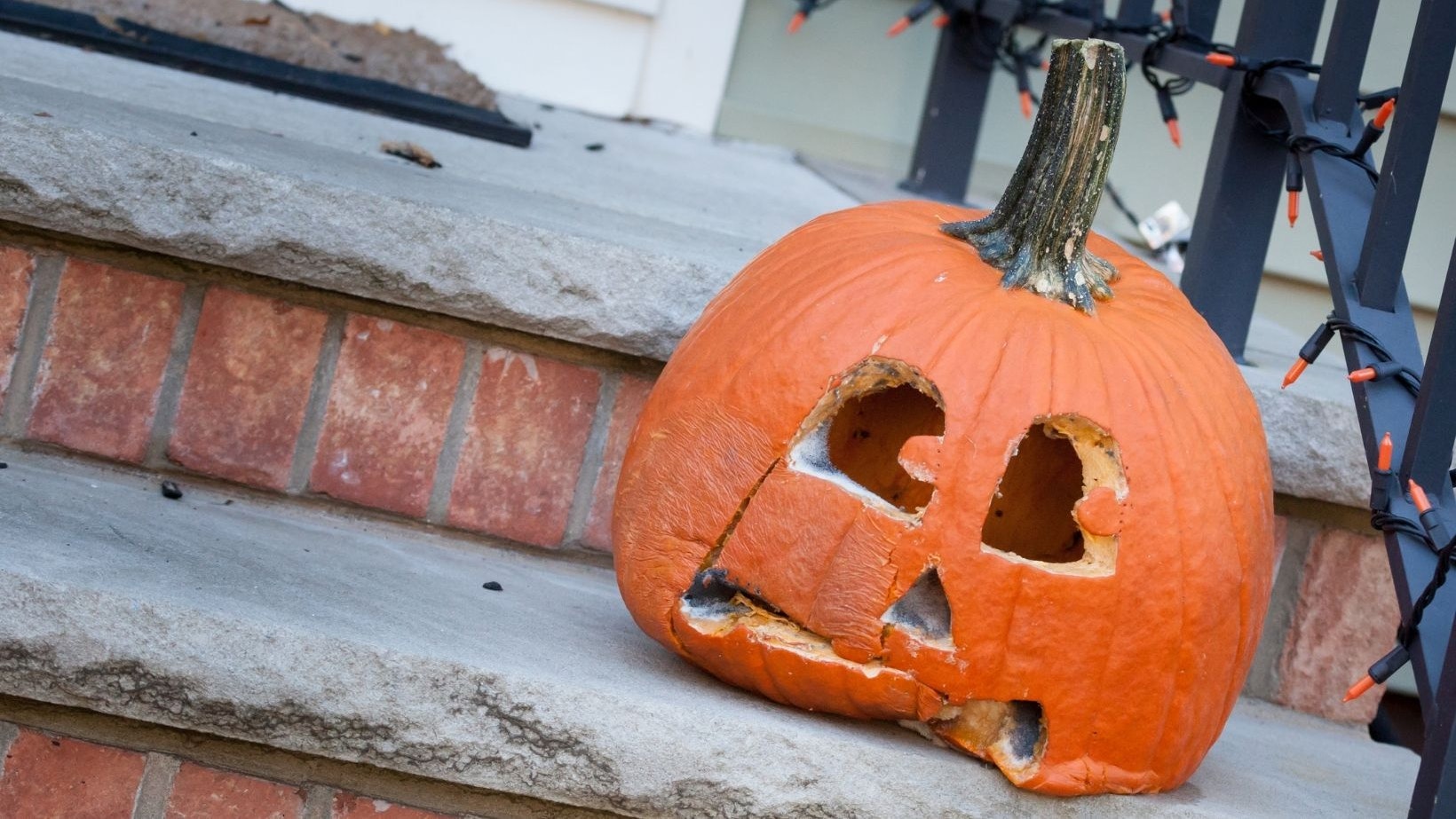 5 Ways To Minimize Waste And Maximize Fun This Halloween3