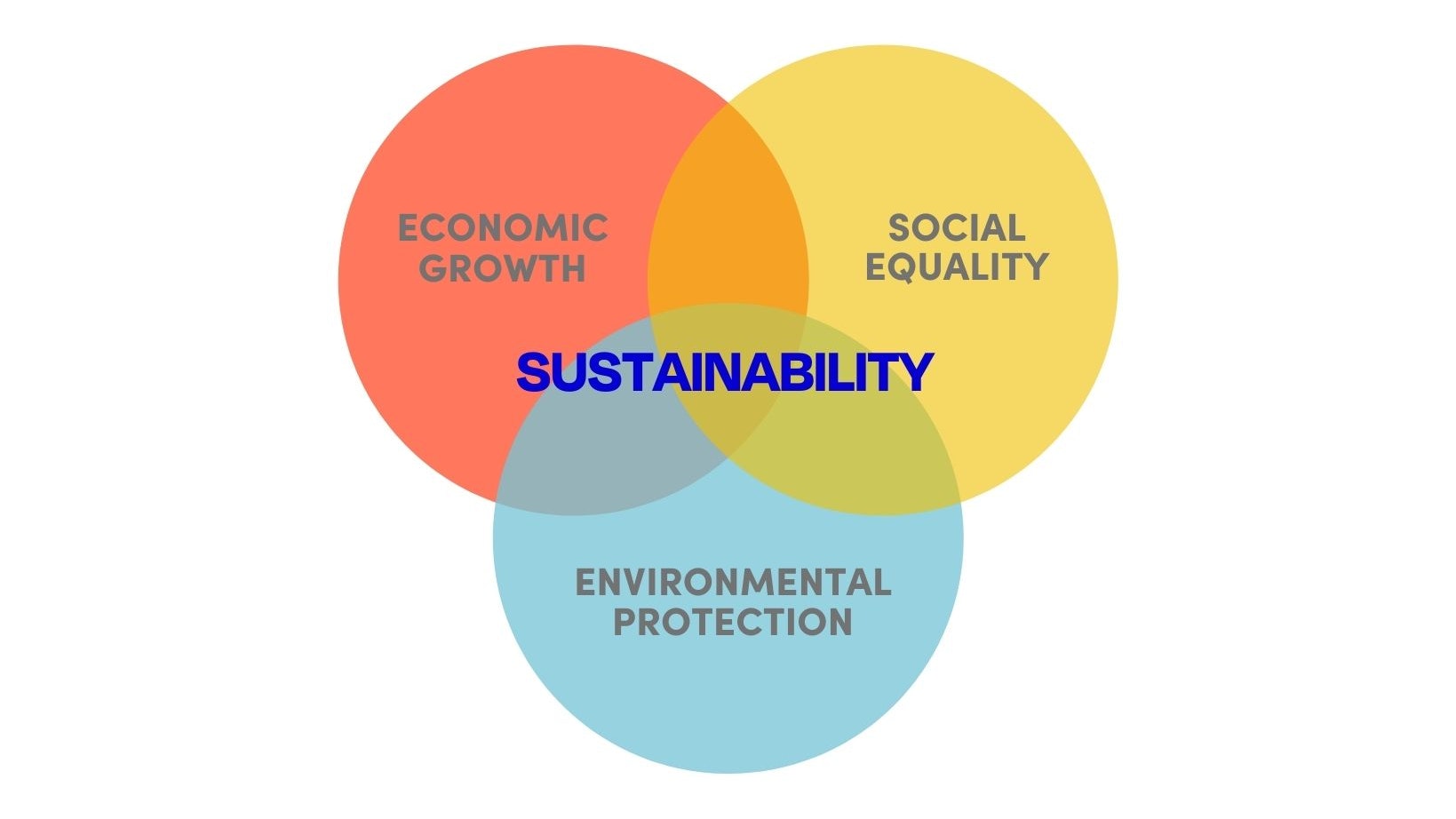 The Real Meaning Of Sustainability 2
